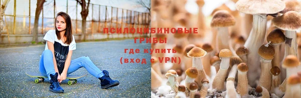 ешки Касимов