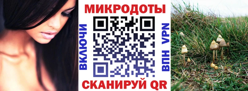 Галлюциногенные грибы Cubensis  Купить где  Северская 